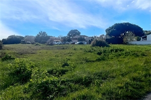 terrain à la vente -   17650  SAINT DENIS D OLERON, surface 4280 m2 vente terrain - UBI467201819